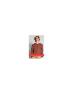 365 - DIAGONAL FRENCH TERRY CREWNECK SWEATSHIRT