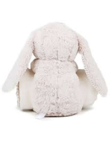 RABBIT AND BLANKET