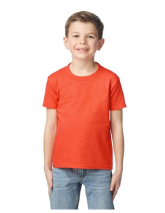 SOFTSTYLE™ MIDWEIGHT YOUTH T-SHIRT