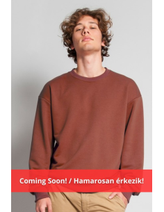 365 - DIAGONAL FRENCH TERRY CREWNECK SWEATSHIRT