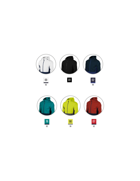 Kurtka męska Rainbow