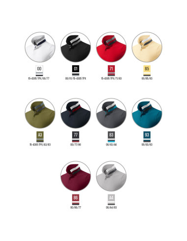 Koszulka polo męska Collar Up